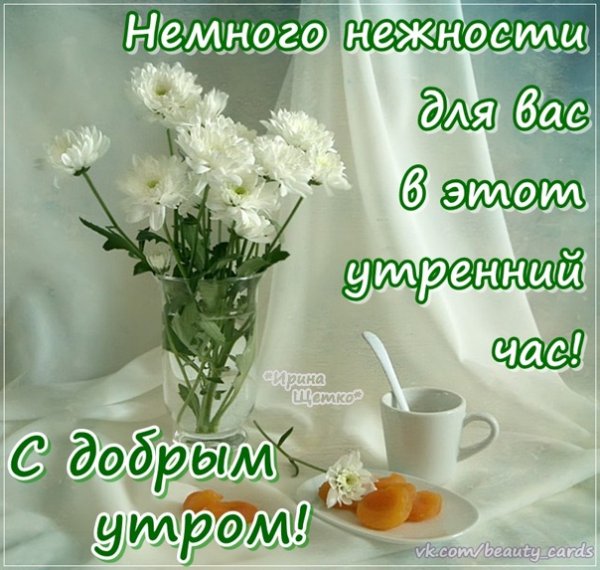 Красивое поздравление с утром