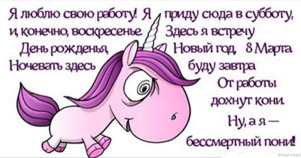 Стишок про работу и Бессмертного пони