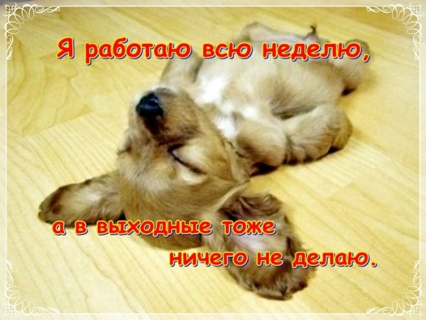 Хорошо потрудиться в выходные картинки