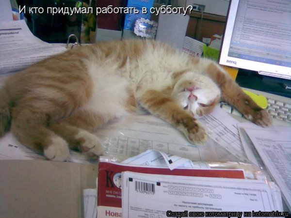 Суббота рабочий день картинки прикольные