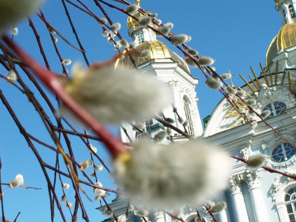 Вербное Калининградская область