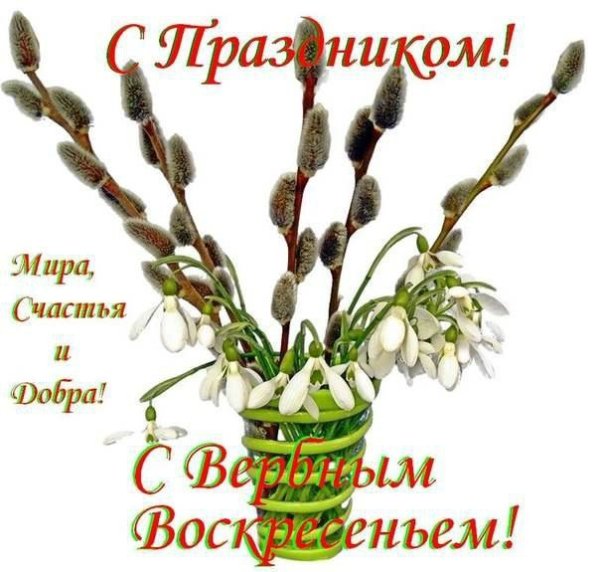 С Вербным воскресеньем счастья и добра