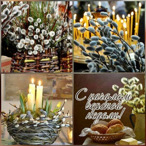 Открытки с Вербной неделей