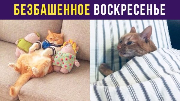 Воскресенье фото прикольное
