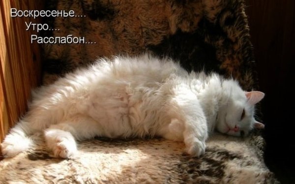 Пожелания на воскресенье