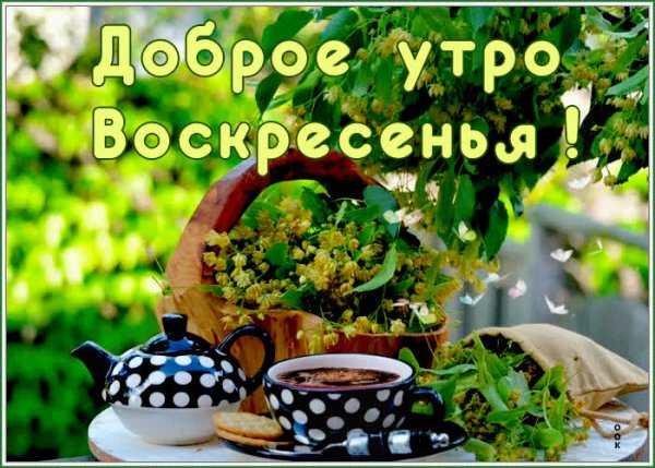 Открытки с добрым утром воскресенья