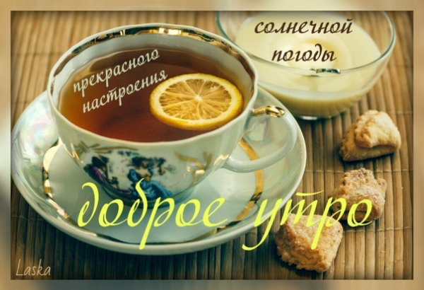 Доброе бодрое утро друзья
