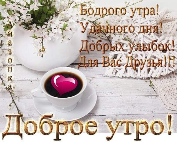 Доброе утро дорогие друзья
