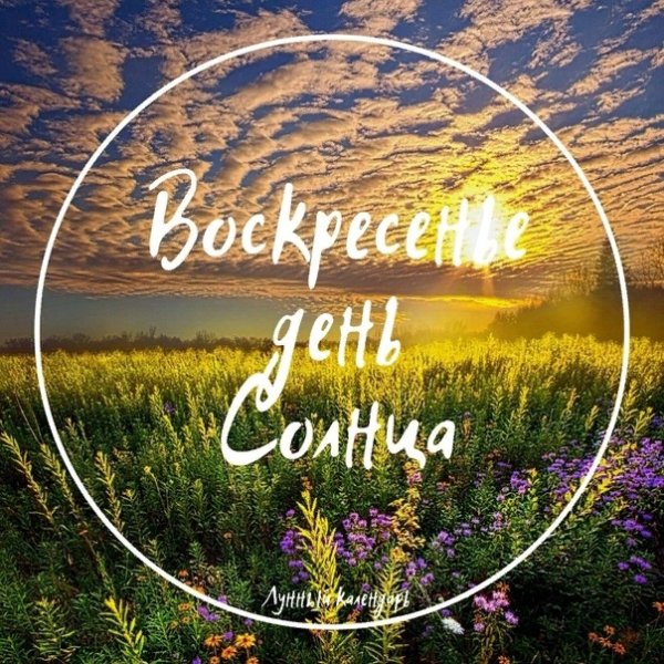 Воскресенье солнце