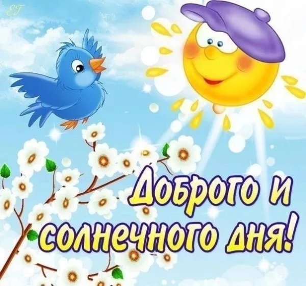 Доброго солнечного дня