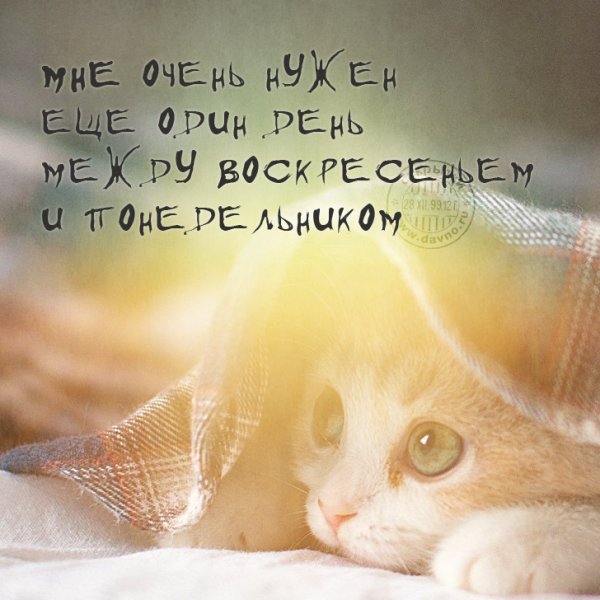 Статусы про воскресенье