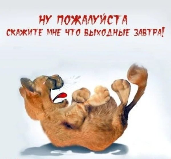 Воскресенье выходной цитаты