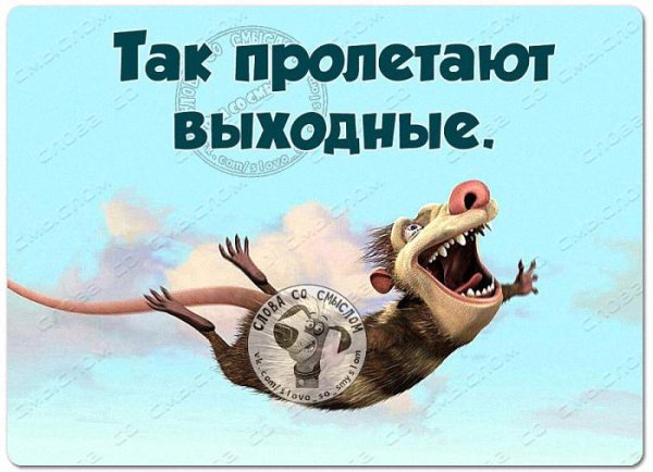 Воскресенье приколы