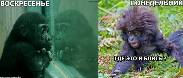 Воскресенье день тяжелый