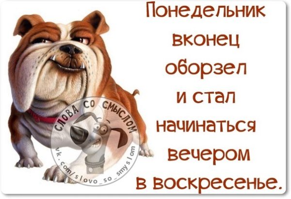 Воскресенье на работу прикольные