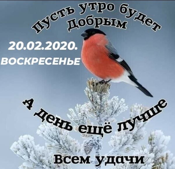 Доброе февральское утро воскресенье