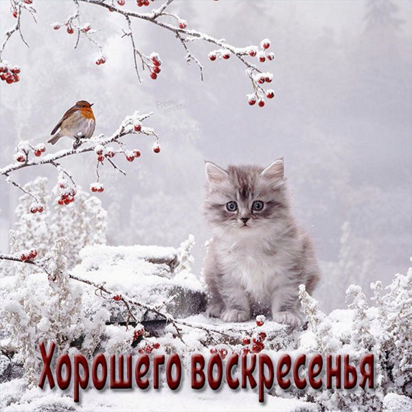 Хорошего воскресенья зимой