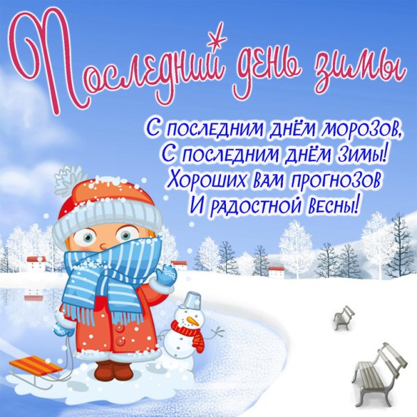 Рябина в снегу