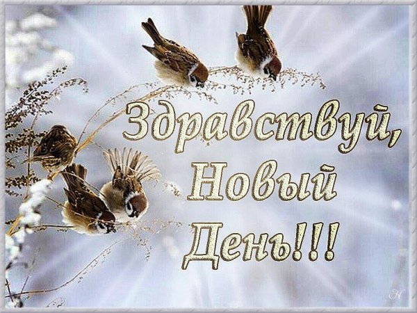 С последним днем зимы