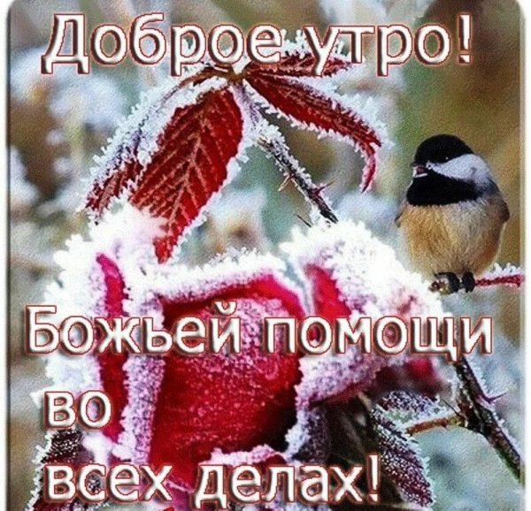 Поздравления с добрым зимним