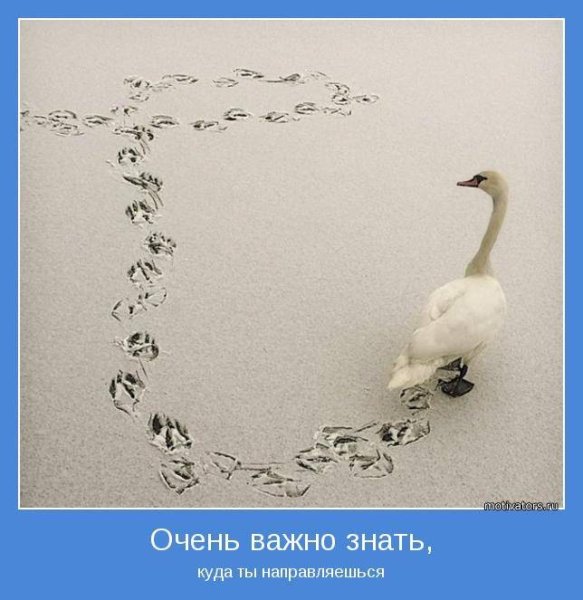 Загадка мотиватор