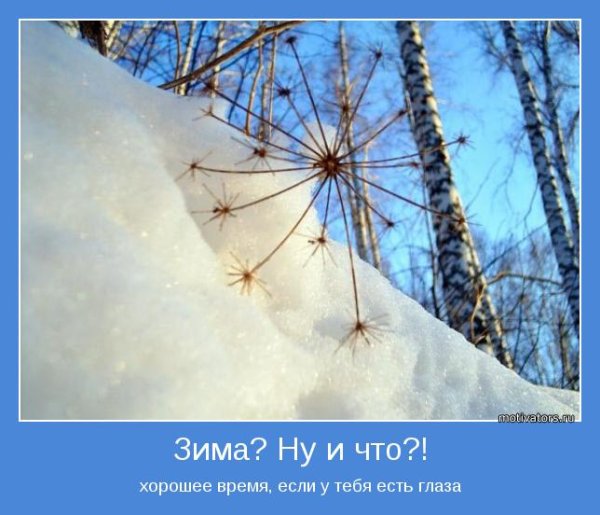 Позитивные зимние мотиваторы