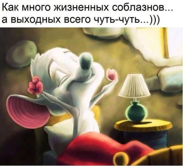 С добрым утром юмор