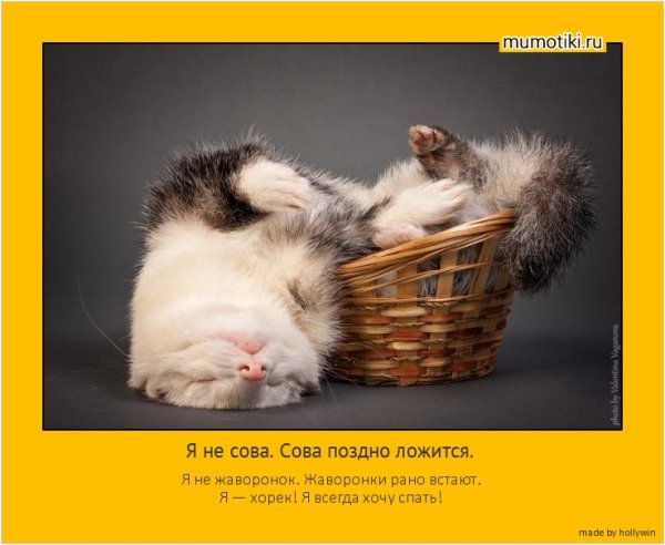 Мотивация в картинках с Цитатами смешные