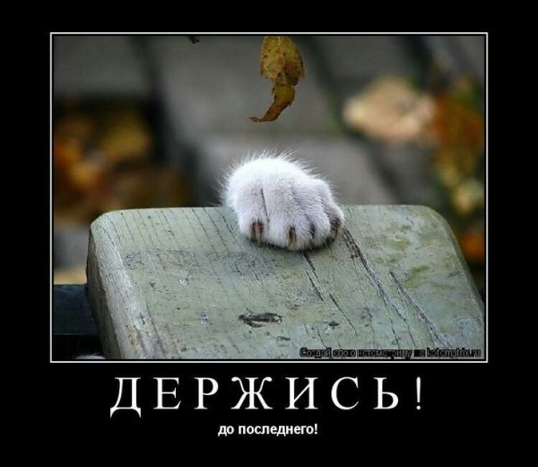 Мотиватор воскресенье