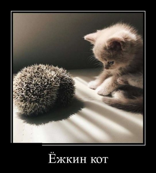 Влюбленные птички на ветке