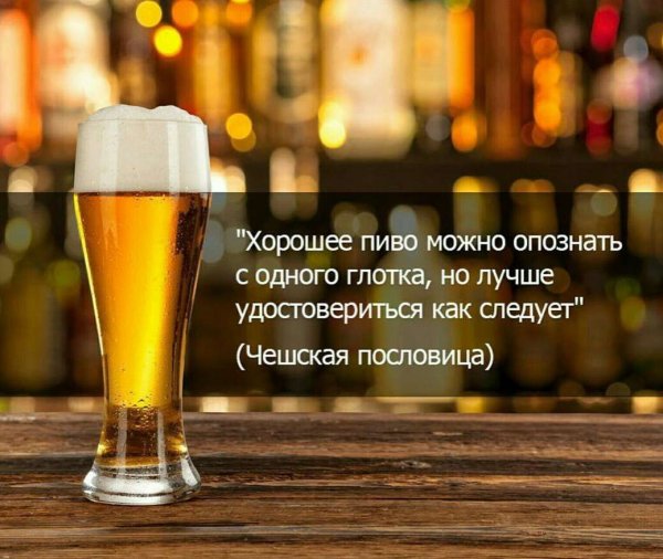 Высказывания про пиво
