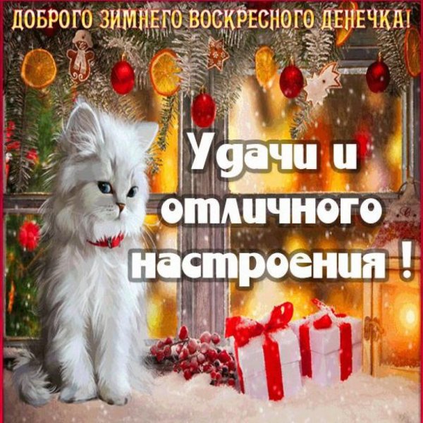 Прикольные поздравления с воскресеньем