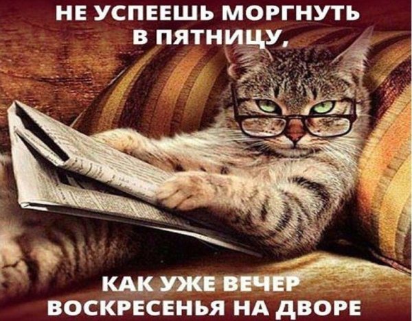 Про выходные смешные
