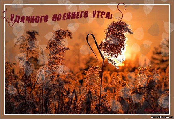 С осенней субботой