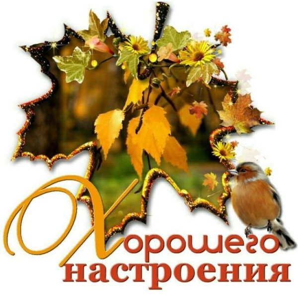 Прекрасного лмннннго дня