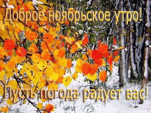 Сдобрым ноябрским утром
