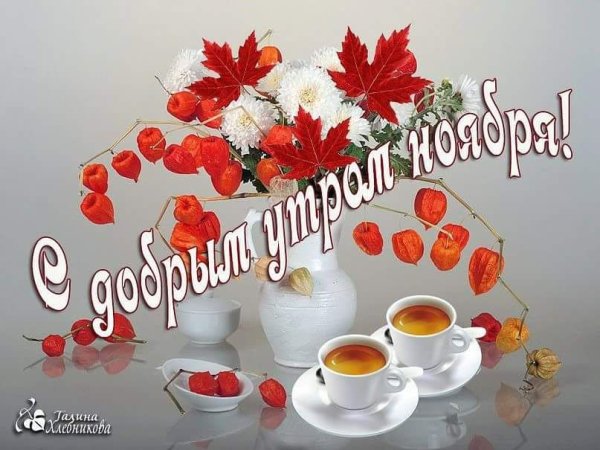 С добрым ноябрьским утром