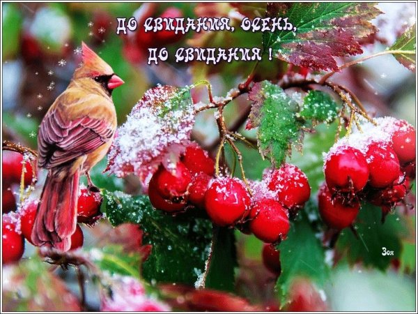 С поледнний днем осени