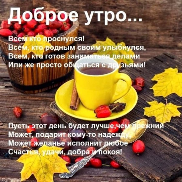 Доброе ноябрьское утро и хорошего дня