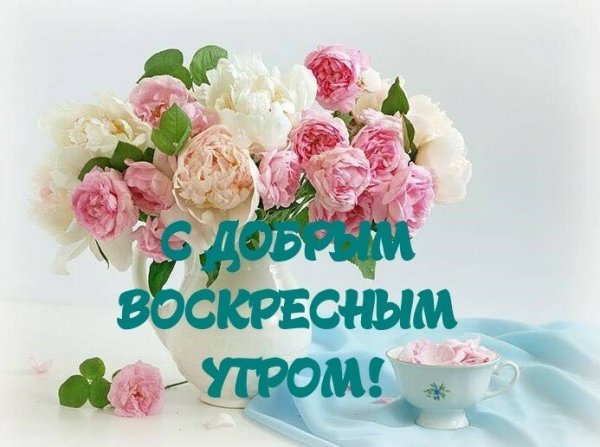 Доброемвоскресное утро
