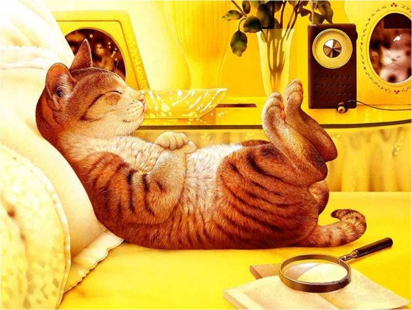 Кот потягушки