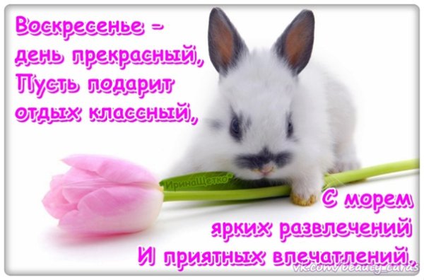 Стих про воскресенье