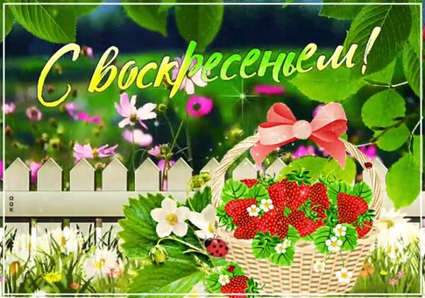 Отличного летнего воскресенья