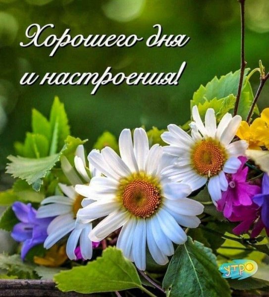 С добрым воскресным утром