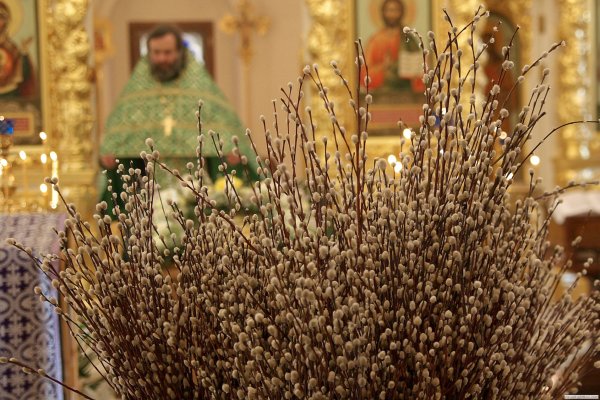 Вербное воскресенье православный праздник