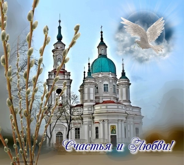 Верба Церковь