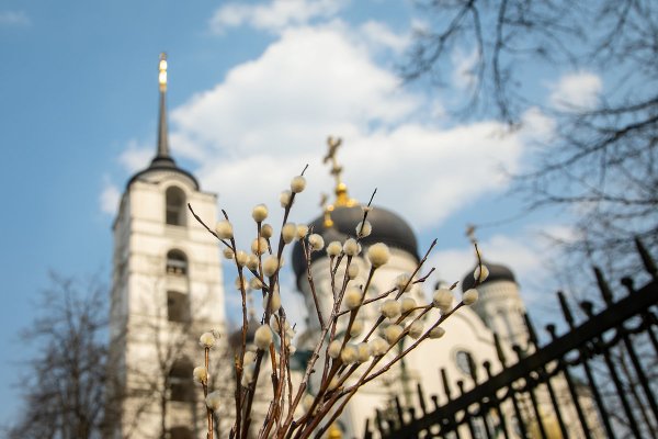 Вербное воскресенье служба в храме