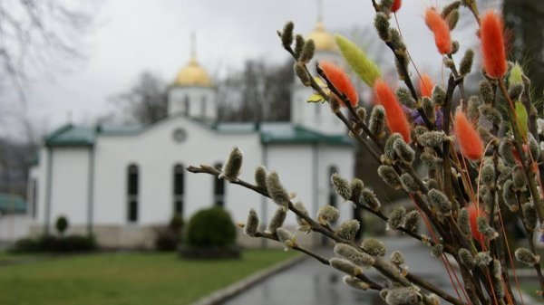Верба вход Господень в Иерусалим