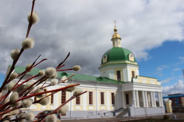 Верба на Вербное воскресенье