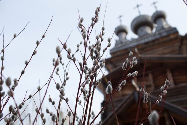Вербна недиля